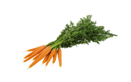 Karotten mit Grün per Bund 500g HK ITA