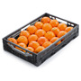 Bio Orangen KL. 2 1KG (gefördert)