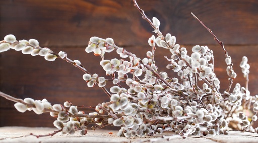 Steirische Palmkätzchen ca. 90- 95 cm Bund (geeignet für Bodenvasen)